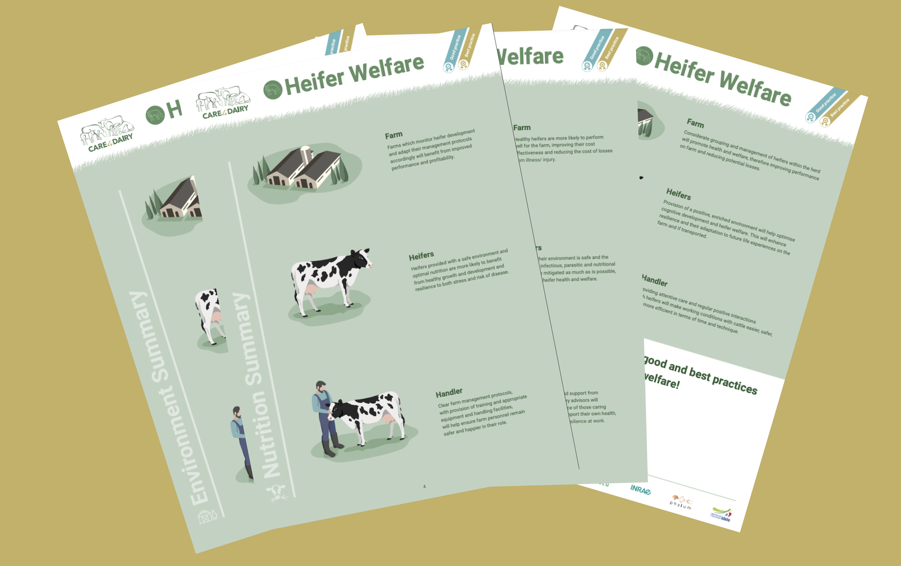 Care4Dairy Guidelines