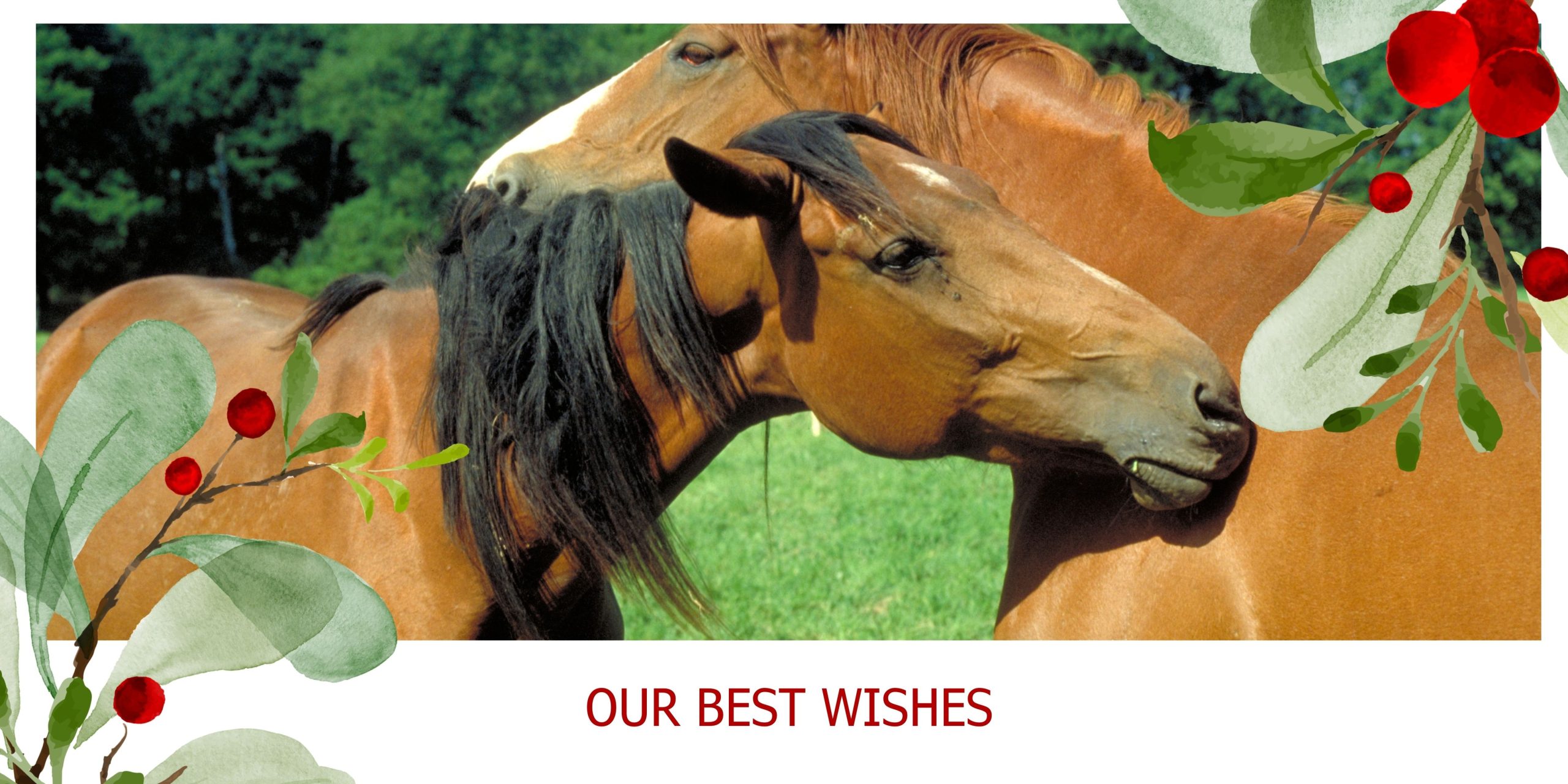 horses in a christmas frame