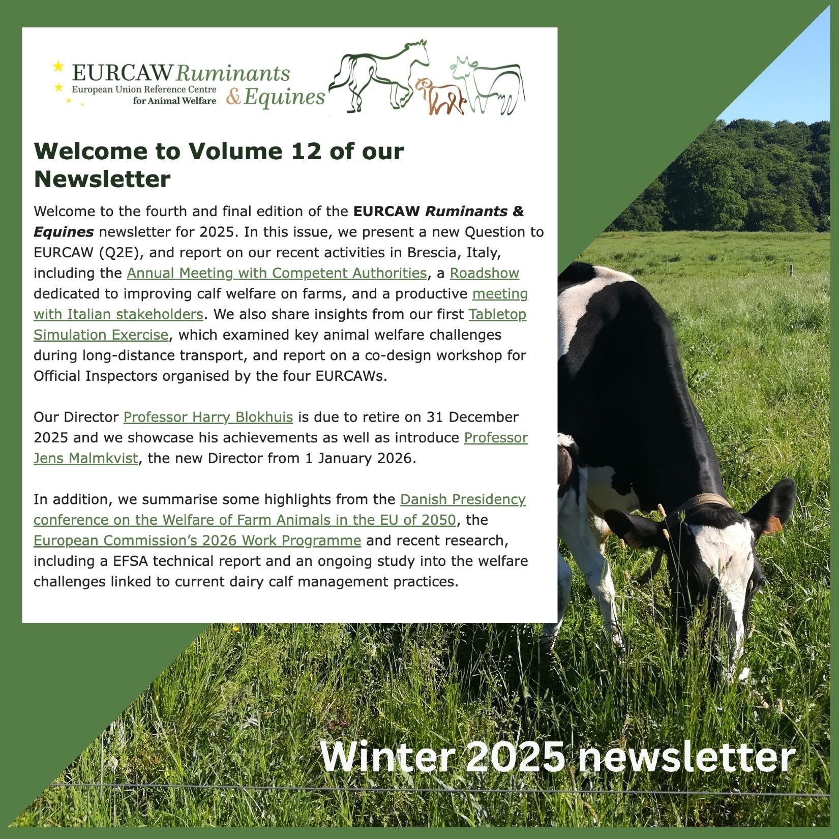 eurcaw newsletter cover