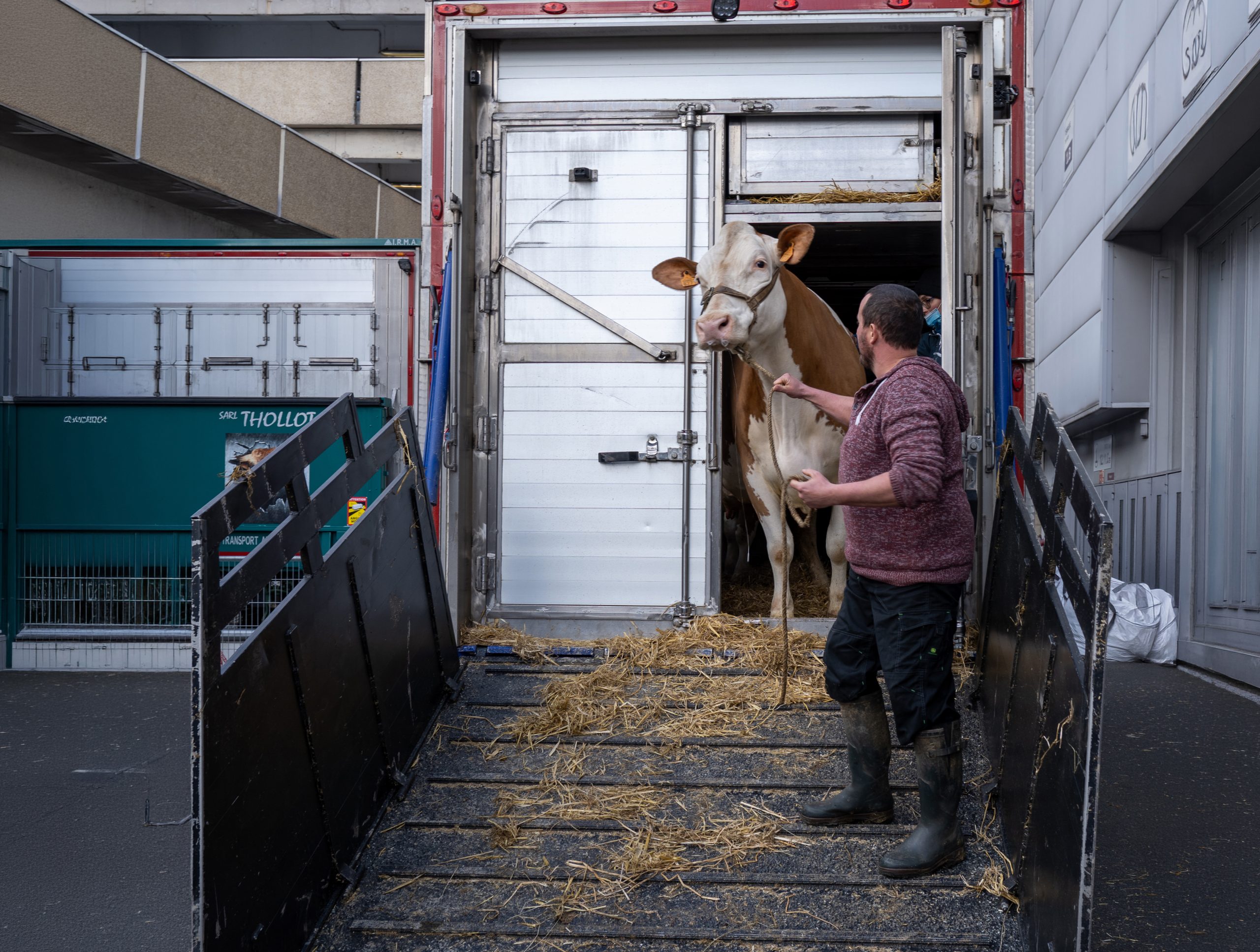 housed calves animal welfare