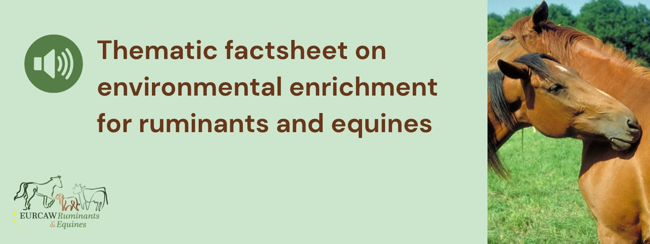 © EURCAW Ruminants & Equines