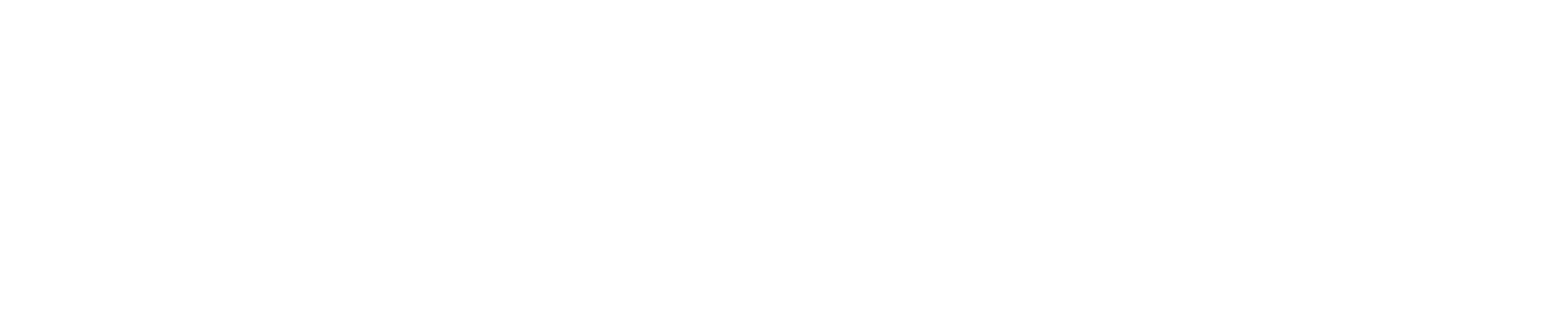 inspection button