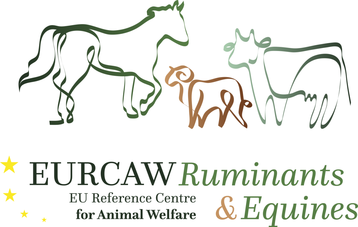 Ruminants EURCAW Ruminants & Equines