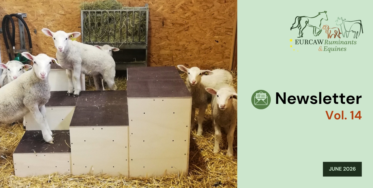 © EURCAW Ruminants & Equines